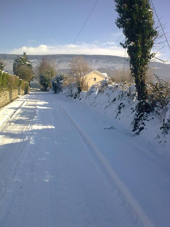 Macreddin Rock Bed & Breakfast Aughrim Eksteriør billede