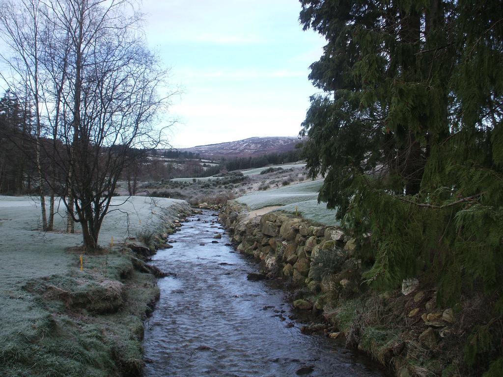 Macreddin Rock Bed & Breakfast Aughrim Eksteriør billede