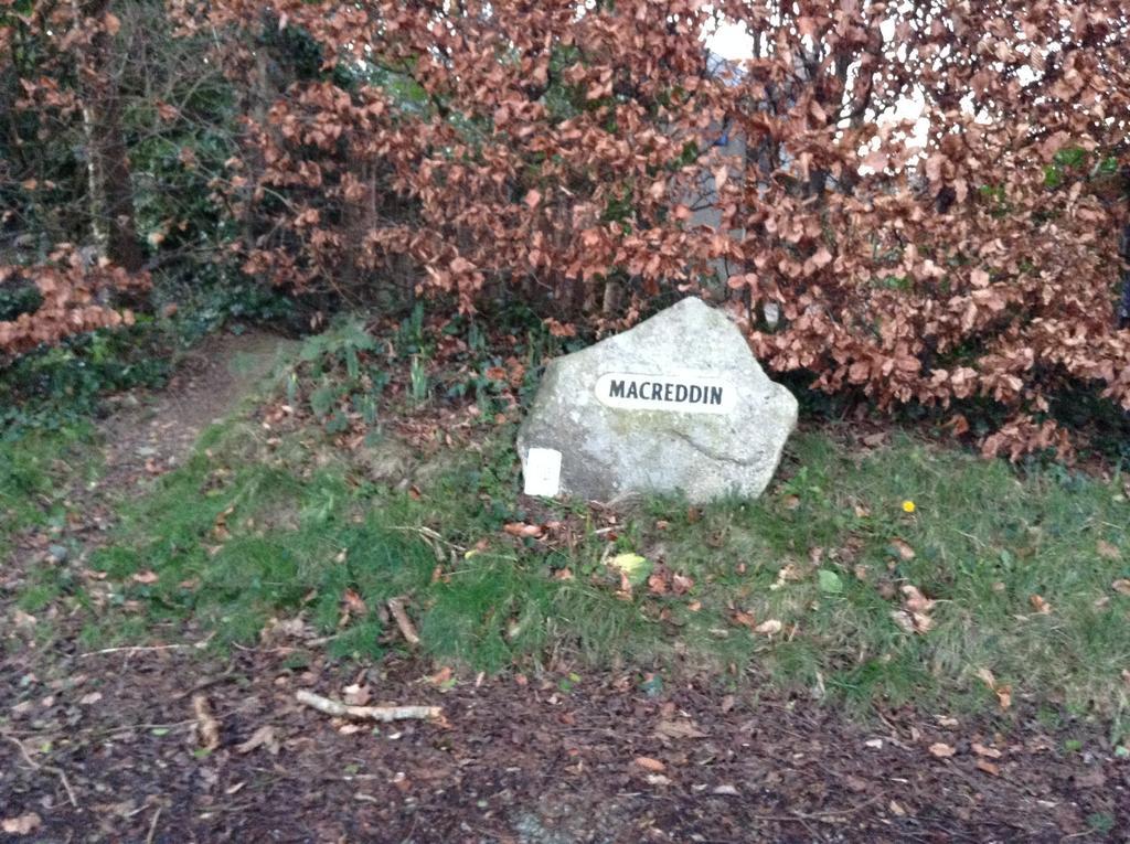 Macreddin Rock Bed & Breakfast Aughrim Eksteriør billede