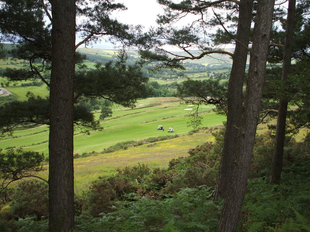 Macreddin Rock Bed & Breakfast Aughrim Eksteriør billede