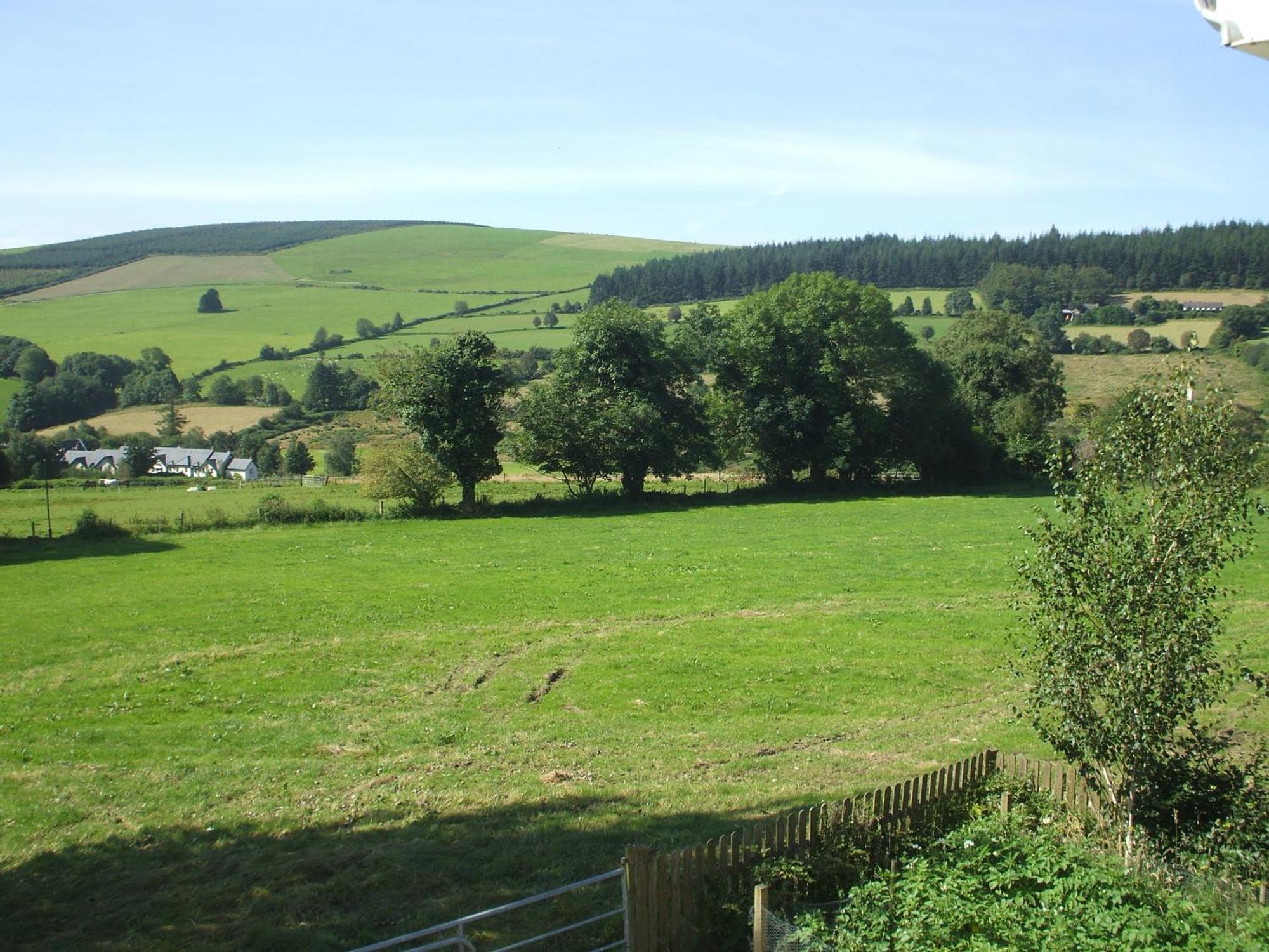 Macreddin Rock Bed & Breakfast Aughrim Eksteriør billede