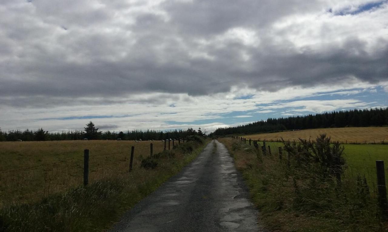 Macreddin Rock Bed & Breakfast Aughrim Eksteriør billede