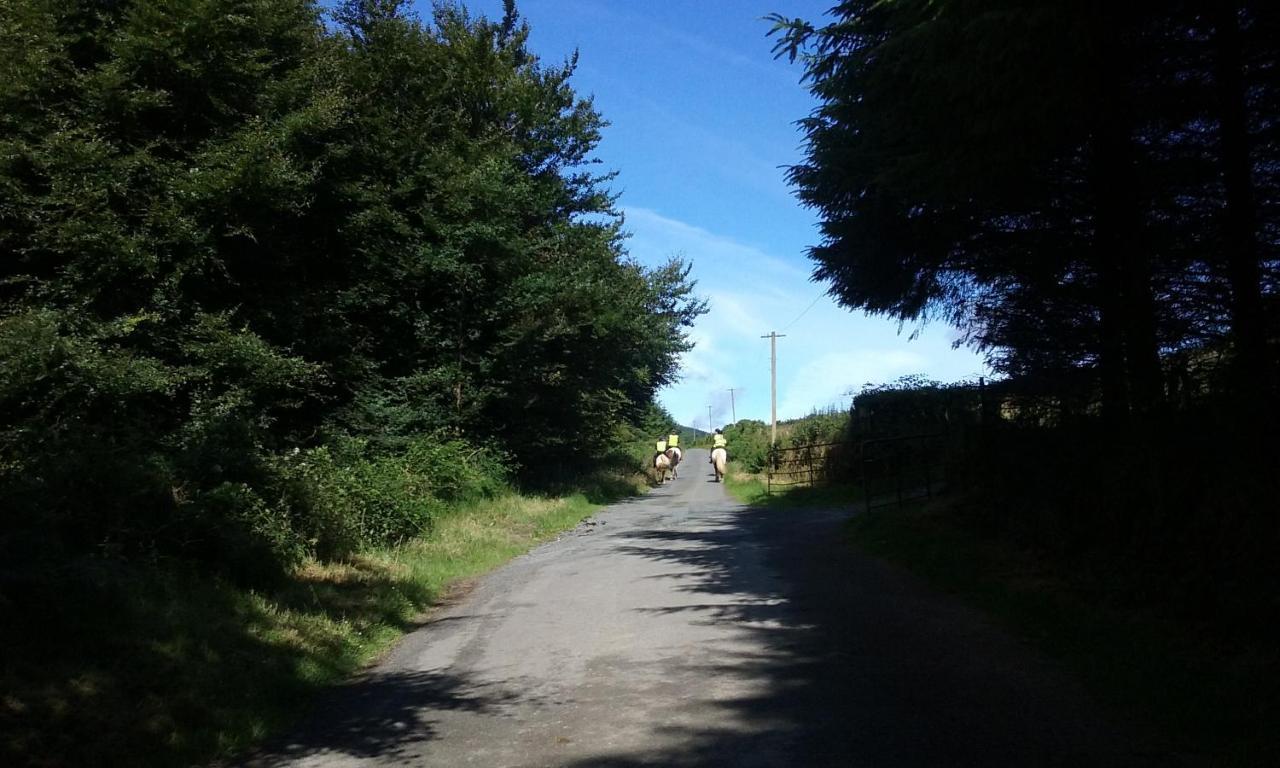 Macreddin Rock Bed & Breakfast Aughrim Eksteriør billede