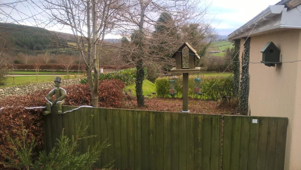 Macreddin Rock Bed & Breakfast Aughrim Eksteriør billede