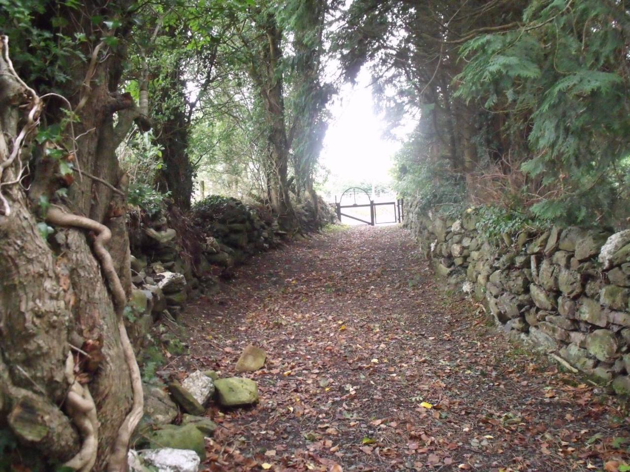 Macreddin Rock Bed & Breakfast Aughrim Eksteriør billede