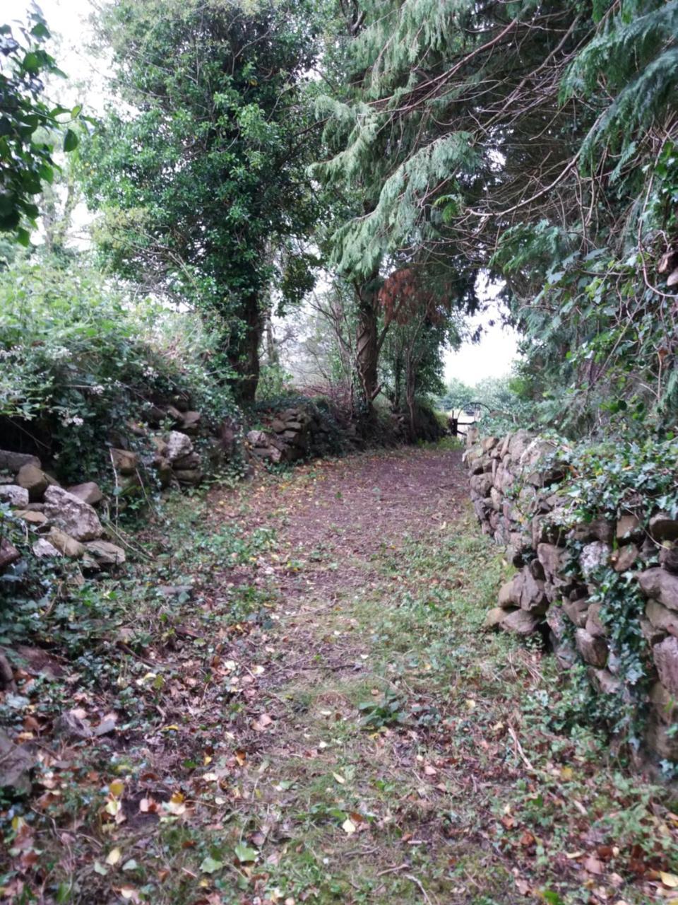 Macreddin Rock Bed & Breakfast Aughrim Eksteriør billede
